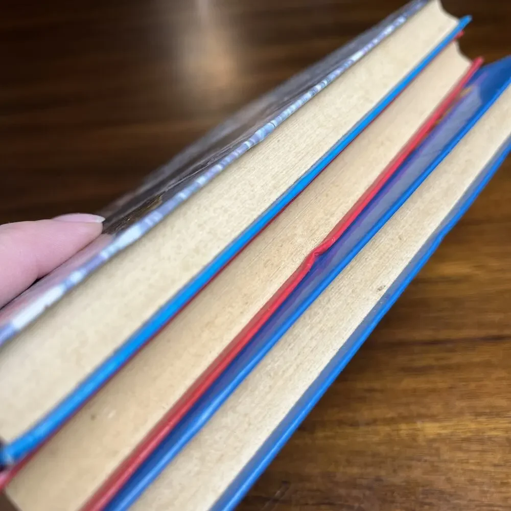 Pony Hardcover Chapter Books For Middle Grade Readers, Lot of 3, Horse Riding
